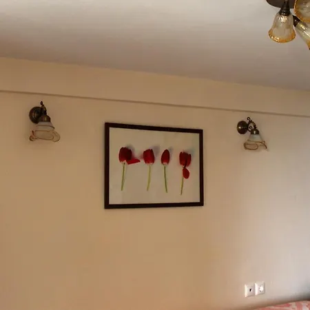 Affittacamere Kleopatra's 3*