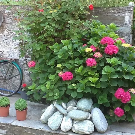 Affittacamere Kleopatra's 3*