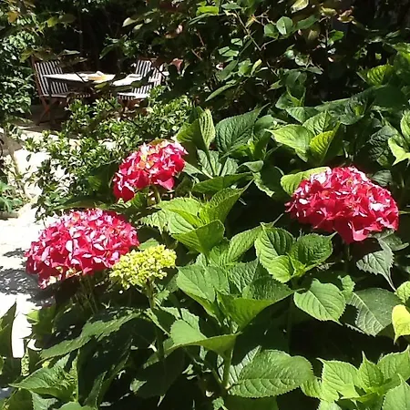 Kleopatra's Affittacamere Tsagarada