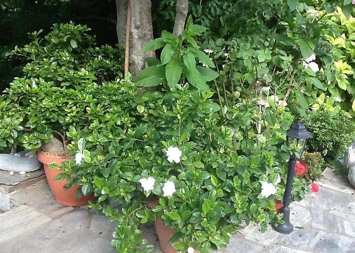 Casa de hóspedes Kleopatra's