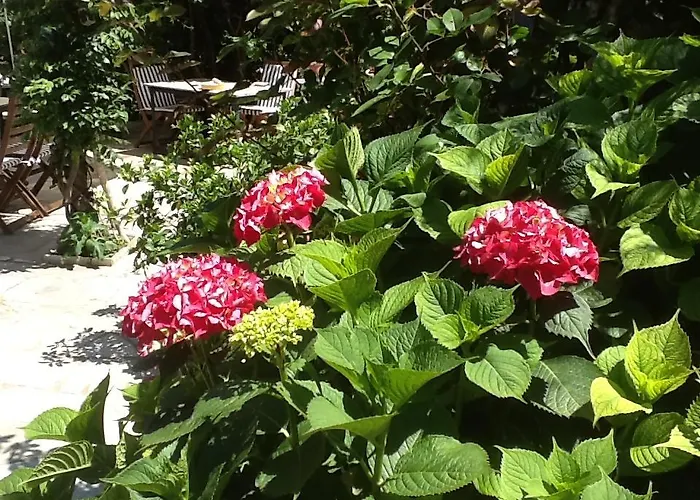 Kleopatra's Casa de hóspedes Tsagarada